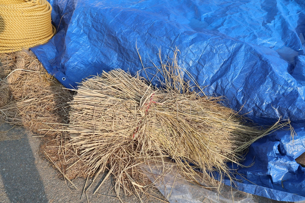 0R5A5396_новый размер.JPG