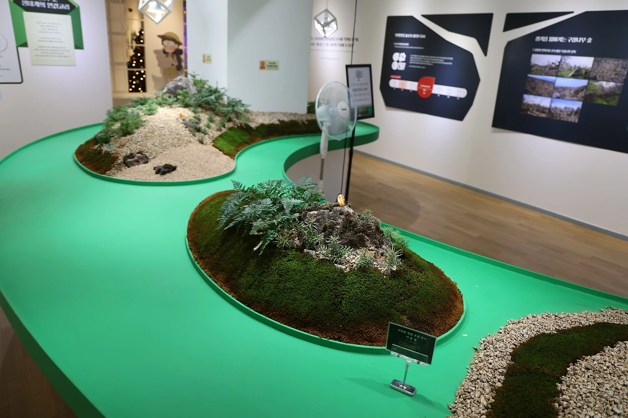 0R5A8895_новый размер.JPG