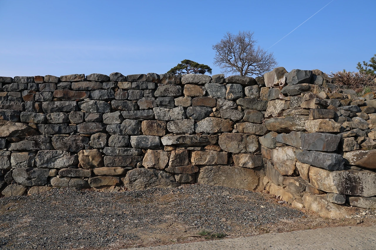 0R5A3895_новый размер.JPG