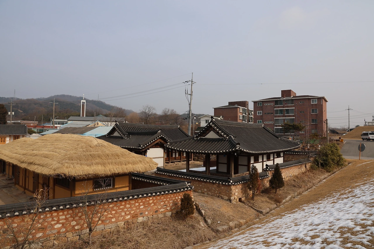 0R5A9686_новый размер.JPG