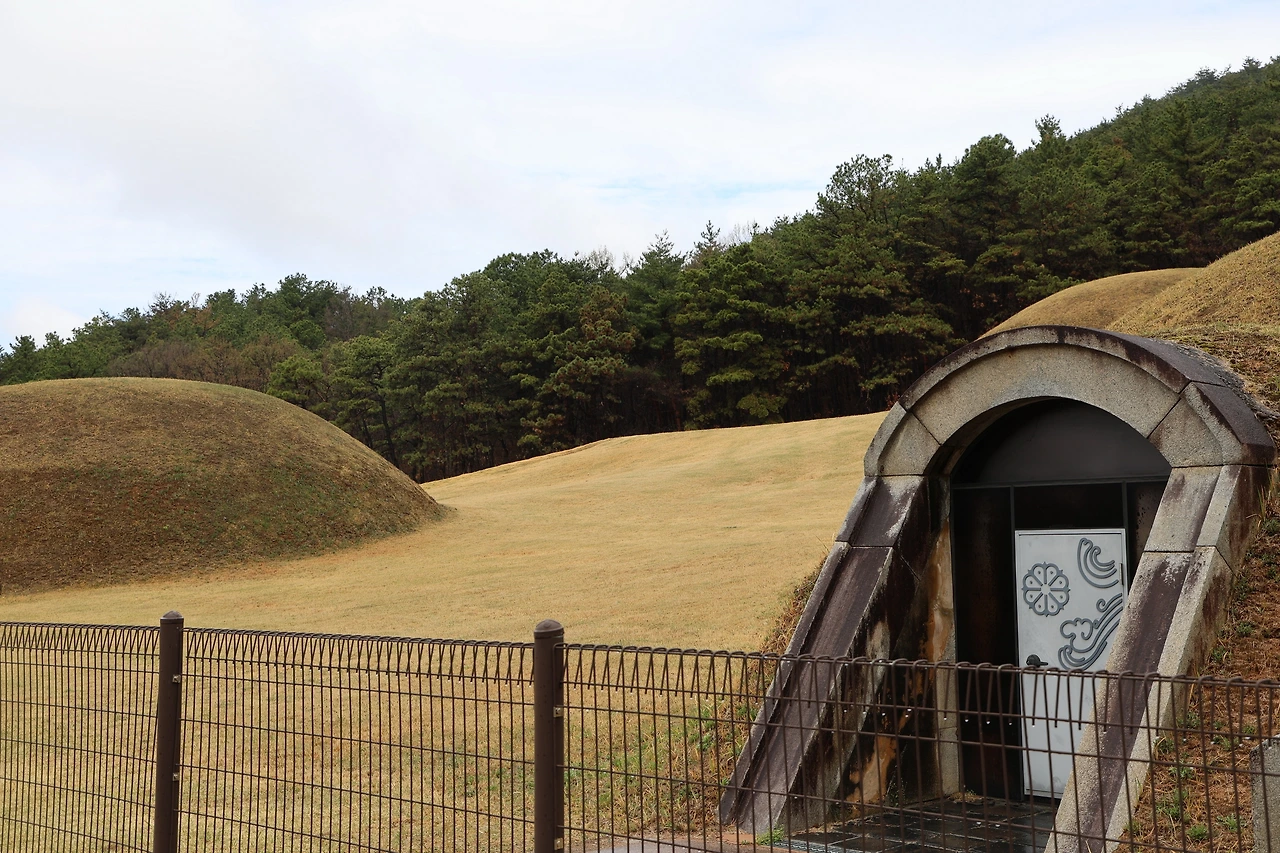 0R5A7295_новый размер.JPG