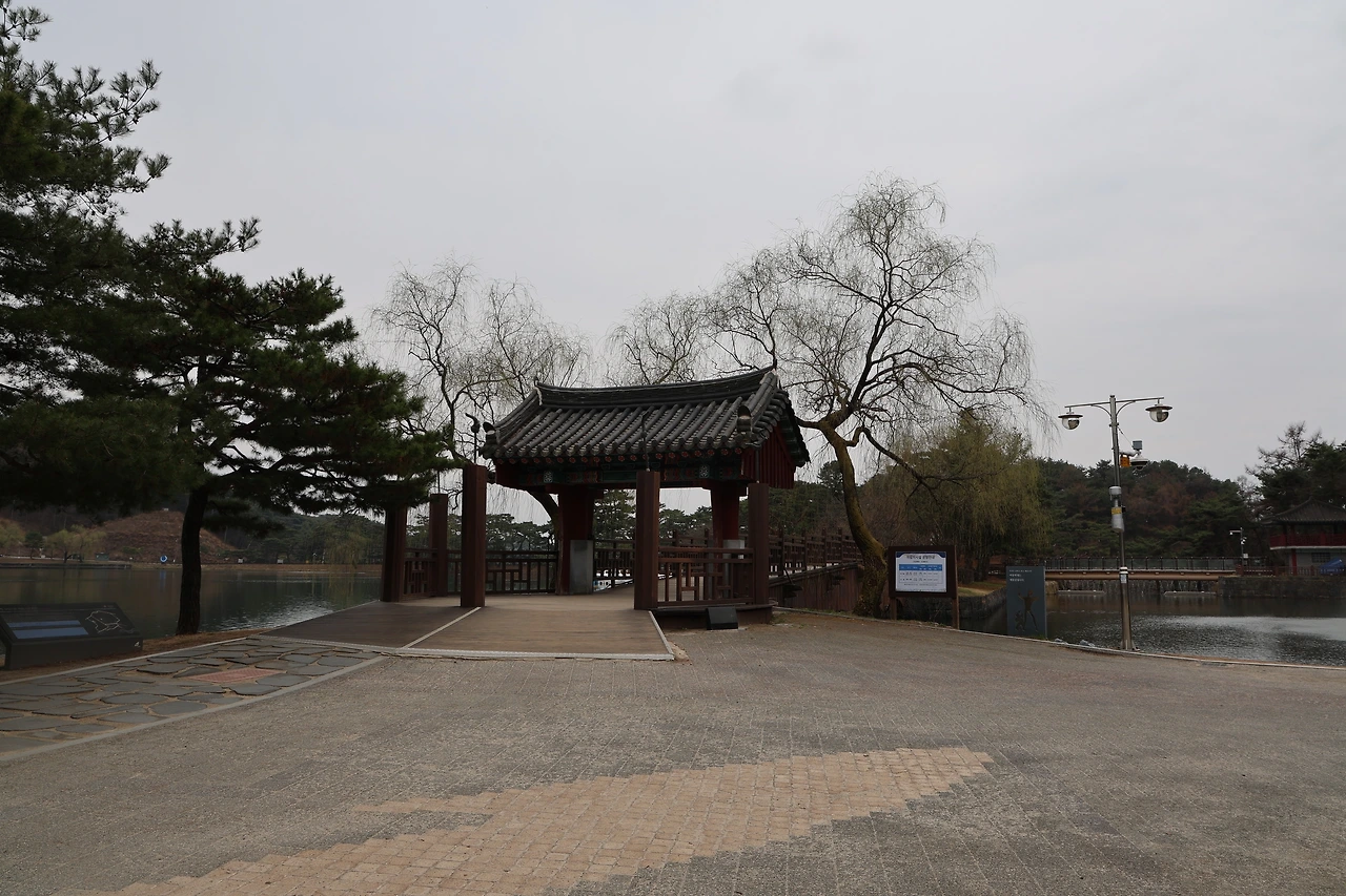 0R5A6901_новый размер.JPG