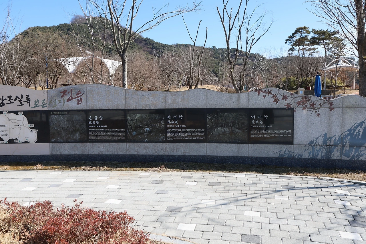 0R5A1613_новый размер.JPG