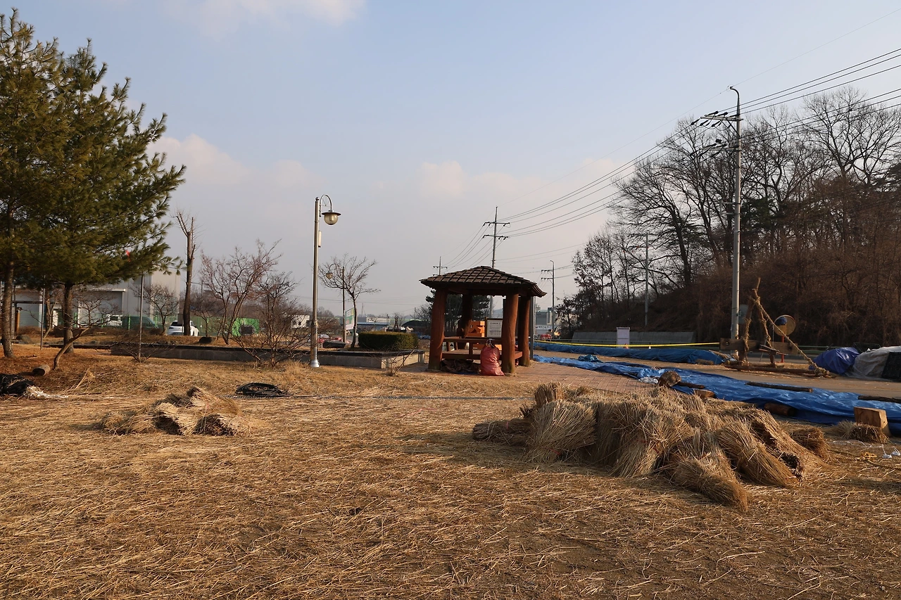 0R5A5398_новый размер.JPG