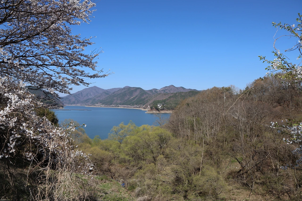 0R5A7764_новый размер.JPG