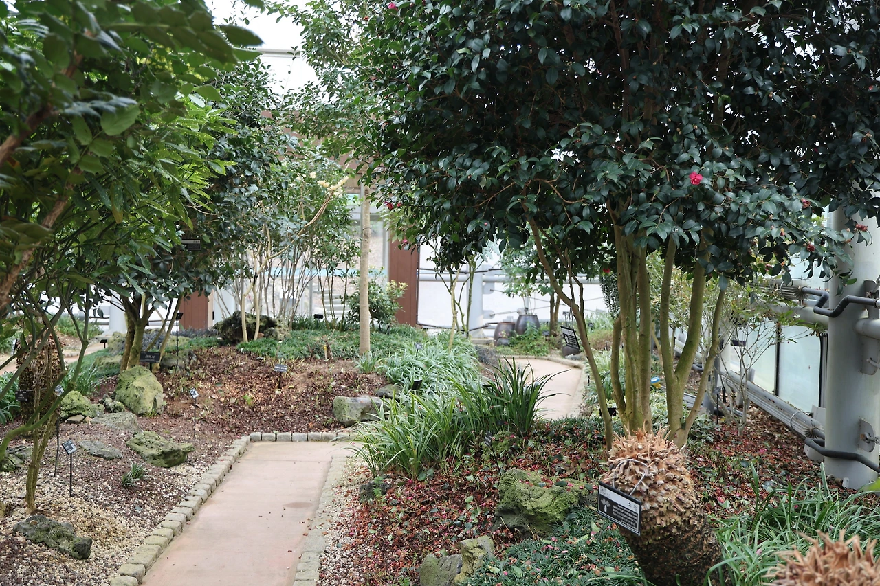 0R5A5294_новый размер.JPG