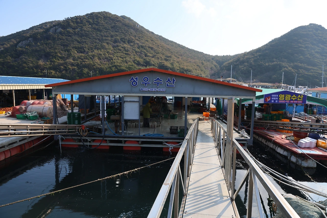 0R5A4989_новый размер.JPG