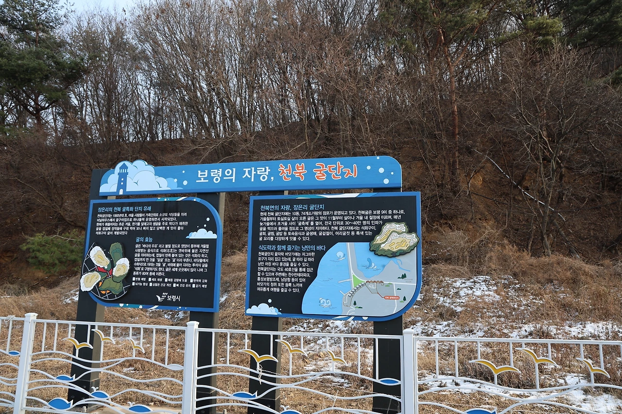 0R5A9642_новый размер.JPG