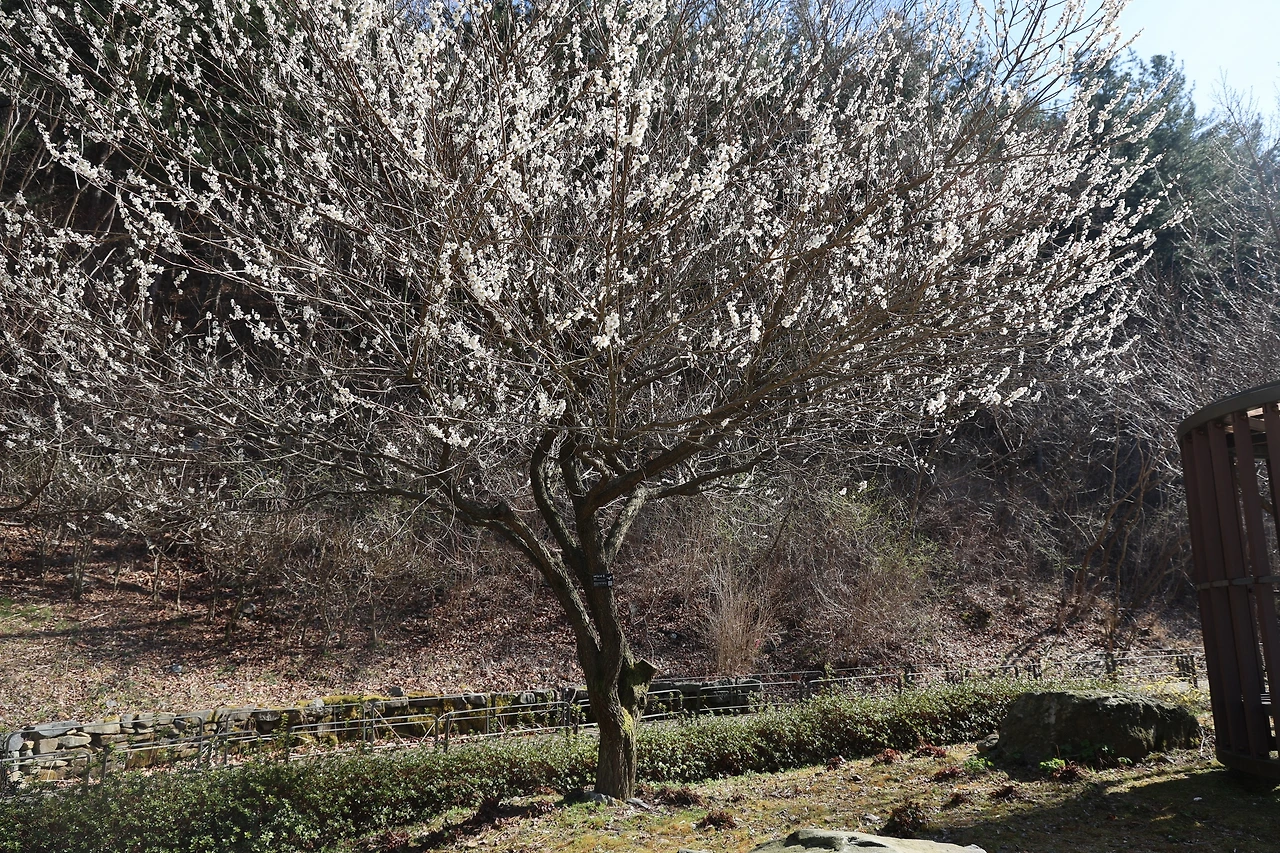 0R5A7817_новый размер.JPG