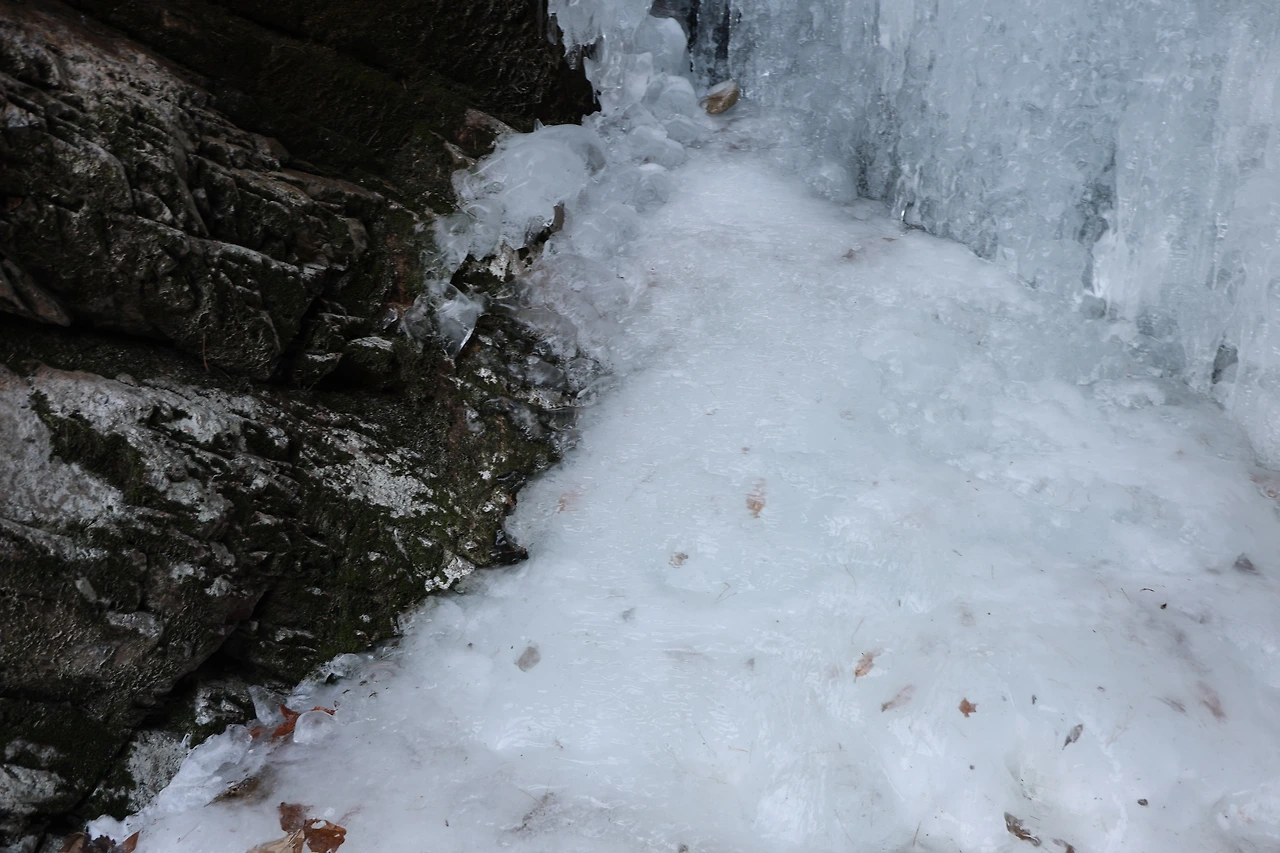 0R5A9258_новый размер.JPG