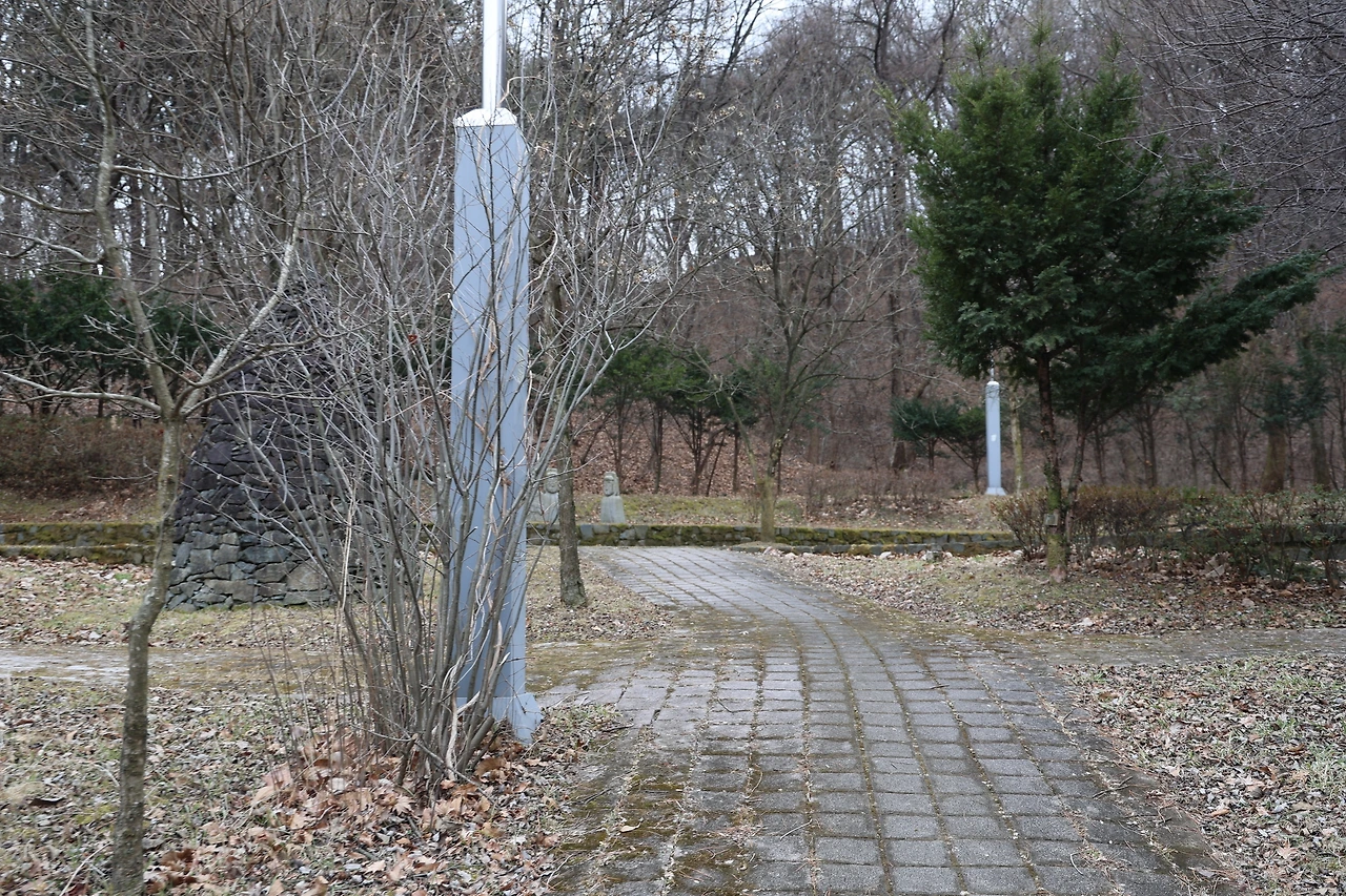 0R5A3639_новый размер.JPG