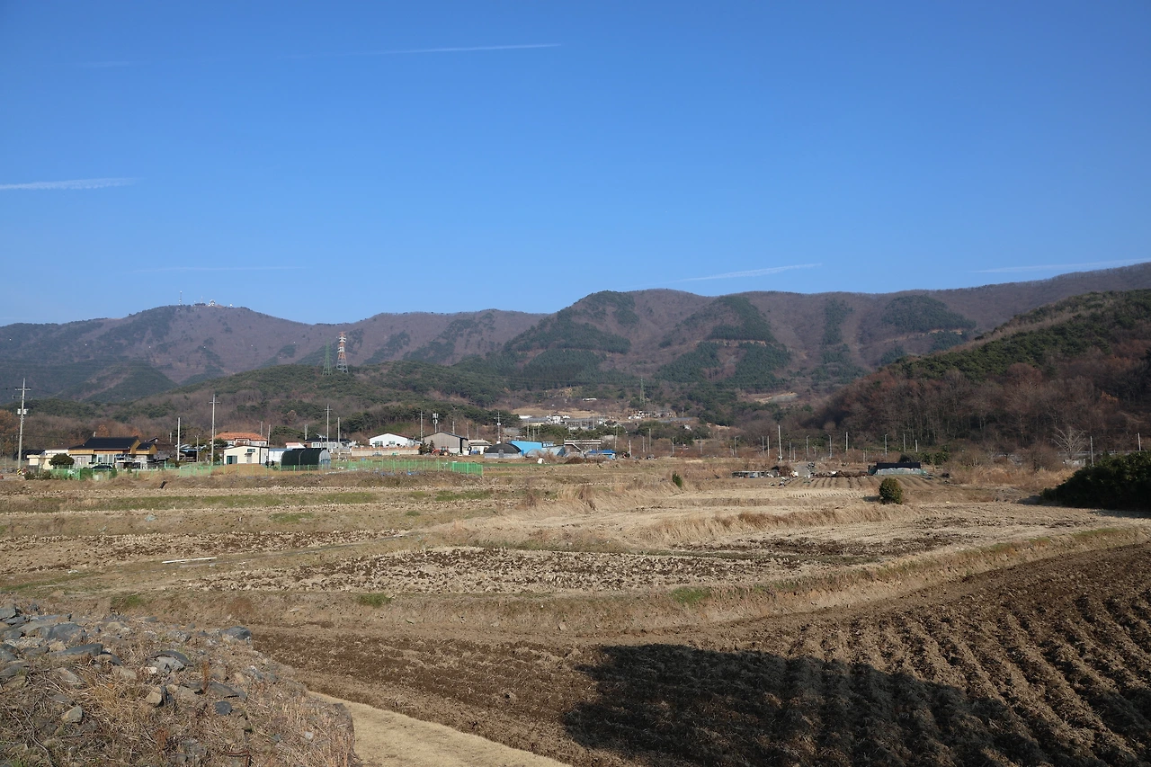 0R5A3907_новый размер.JPG