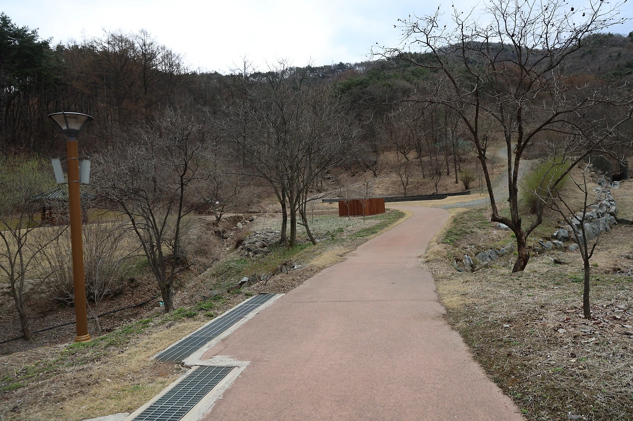 0R5A6873_новый размер.JPG