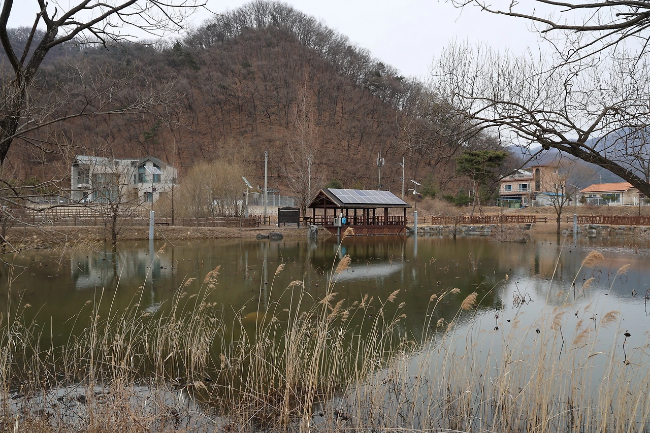 0R5A3656_новый размер.JPG