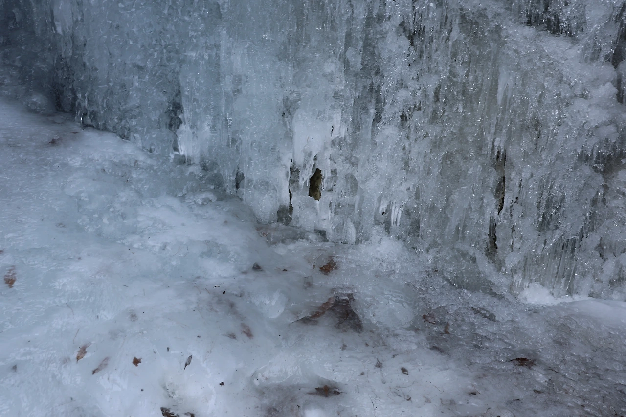 0R5A9253_новый размер.JPG