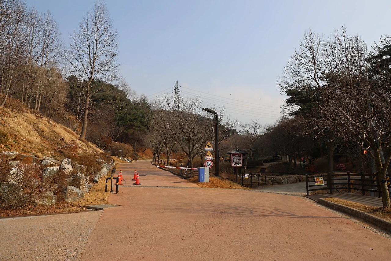 0R5A5278_новый размер.JPG