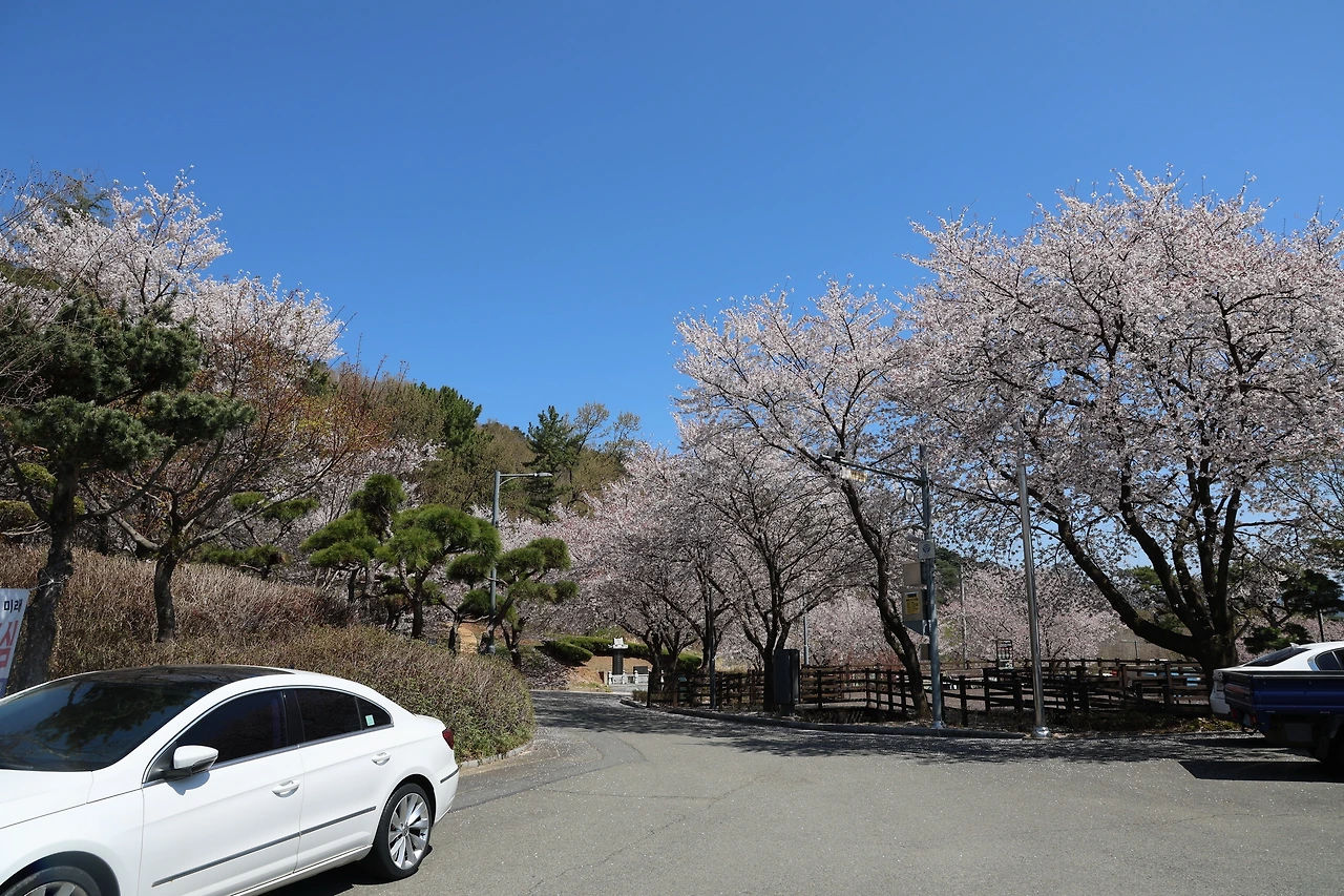 0R5A7719_новый размер.JPG