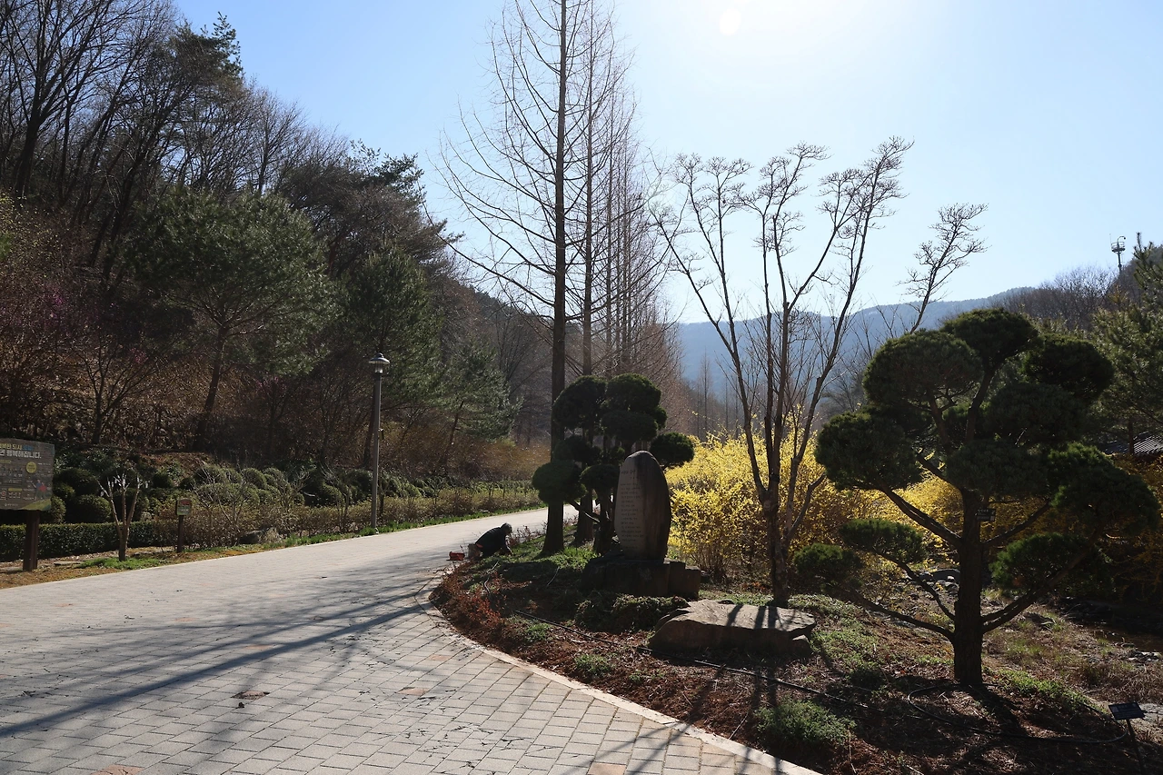 0R5A7808_новый размер.JPG