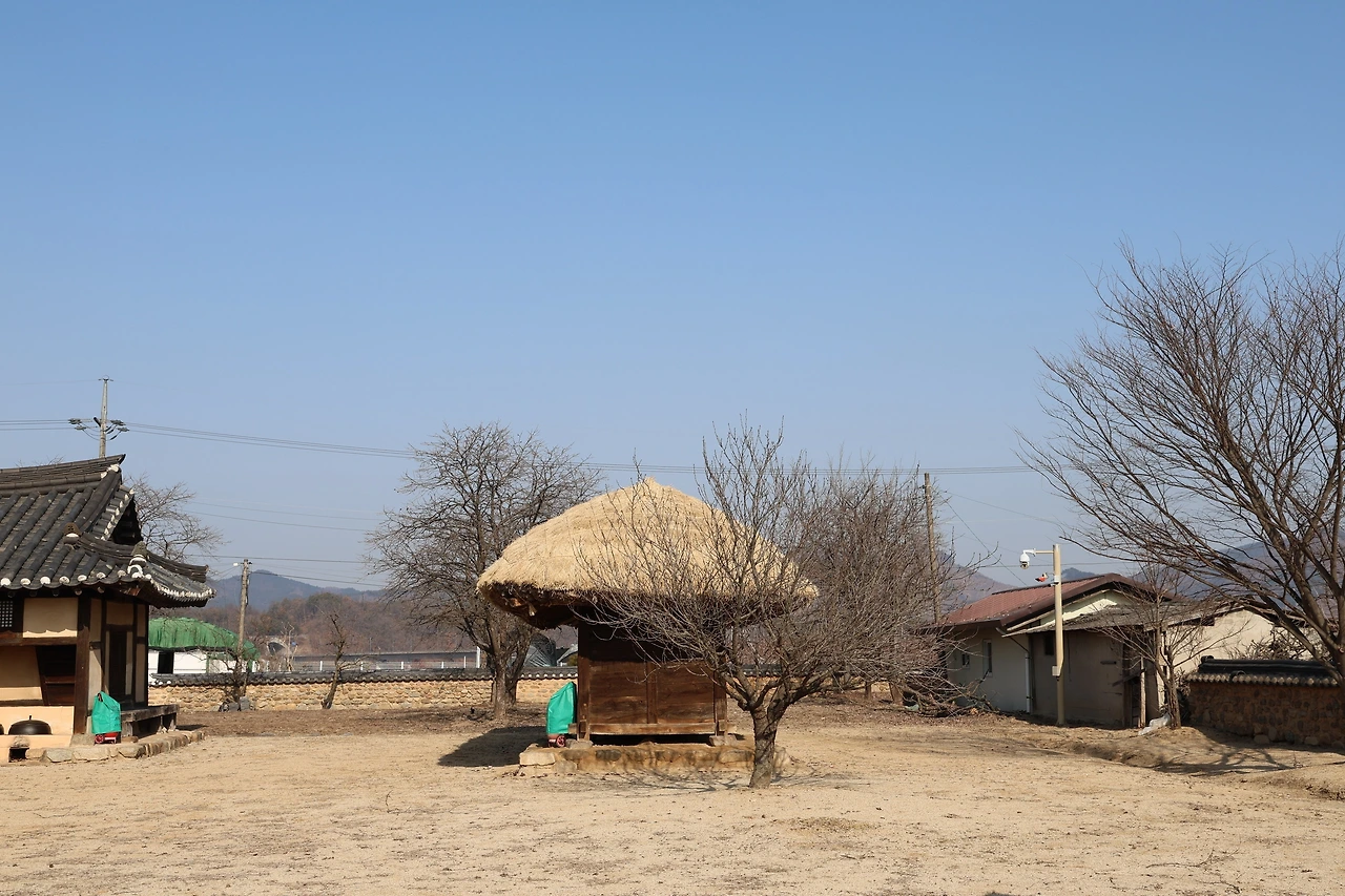 0R5A9282_новый размер.JPG