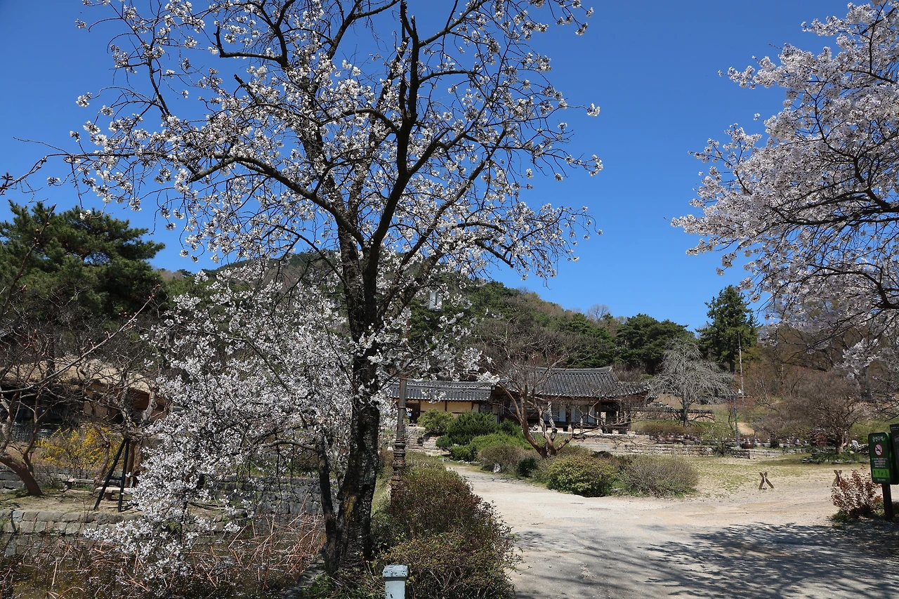 0R5A7702_новый размер.JPG