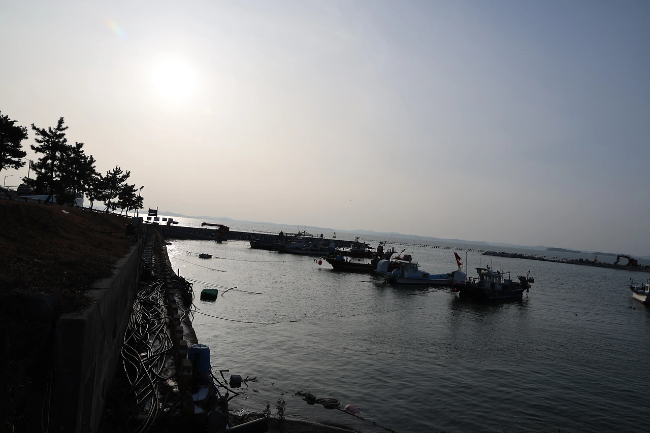 0R5A9658_новый размер.JPG