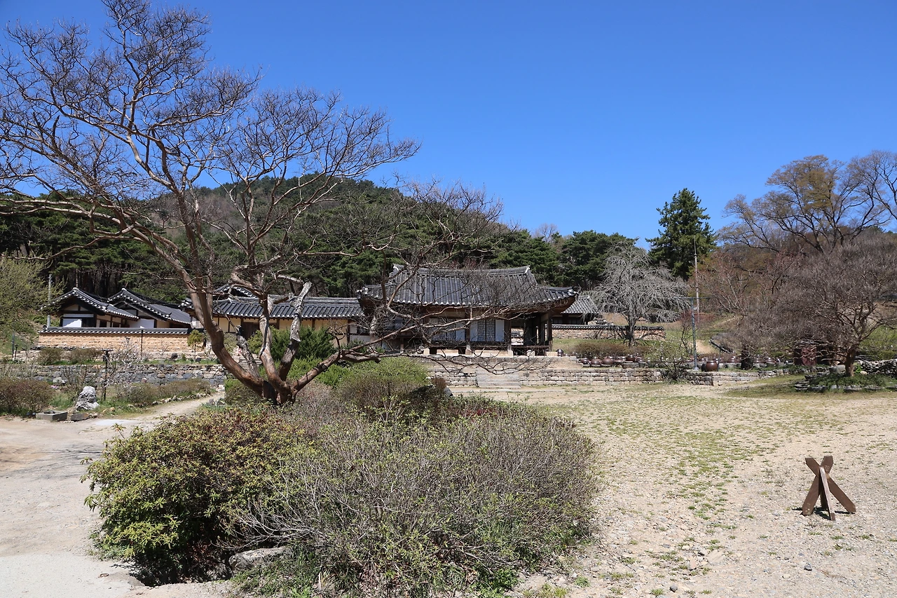 0R5A7704_новый размер.JPG