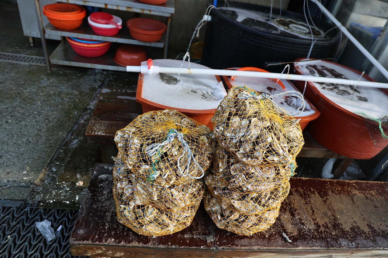 0R5A9647_новый размер.JPG