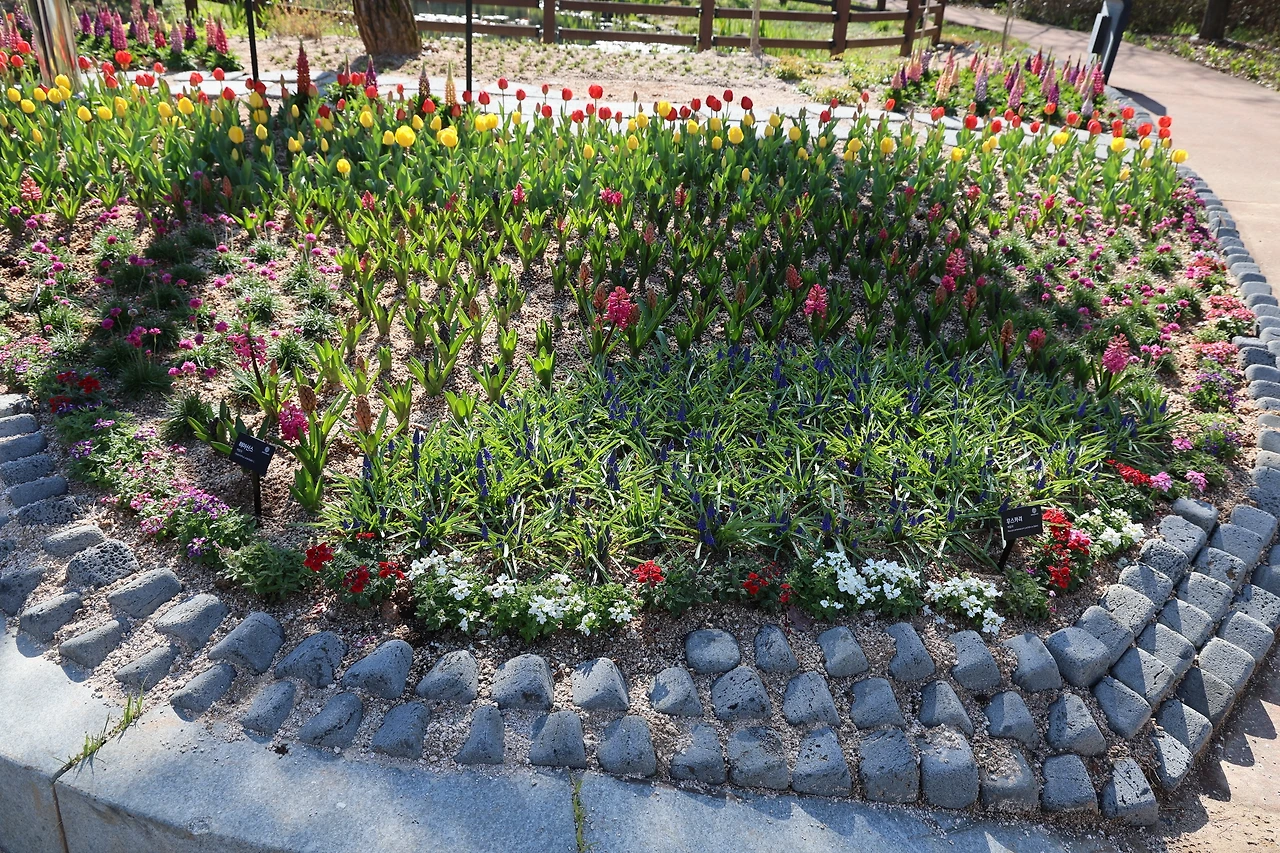 0R5A7804_новый размер.JPG