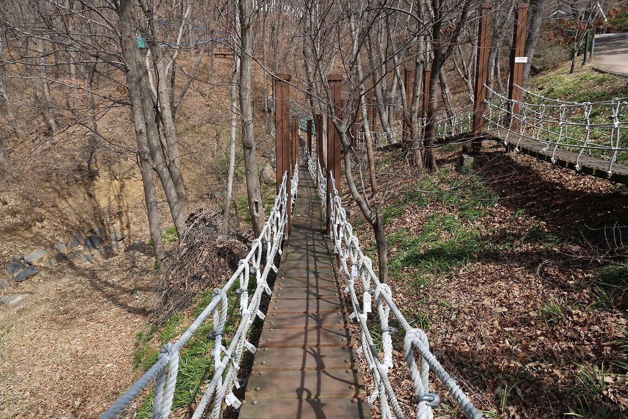 0R5A5801_новый размер.JPG