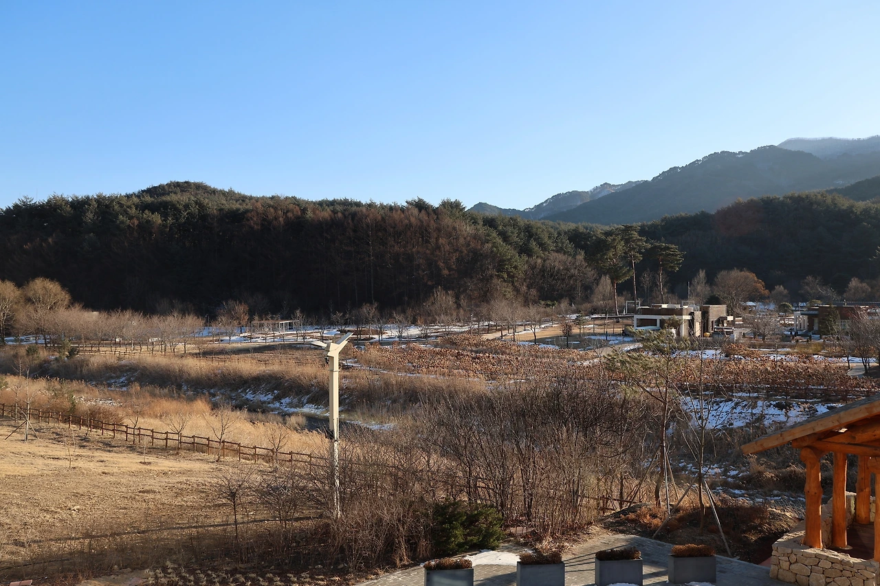 0R5A8910_новый размер.JPG