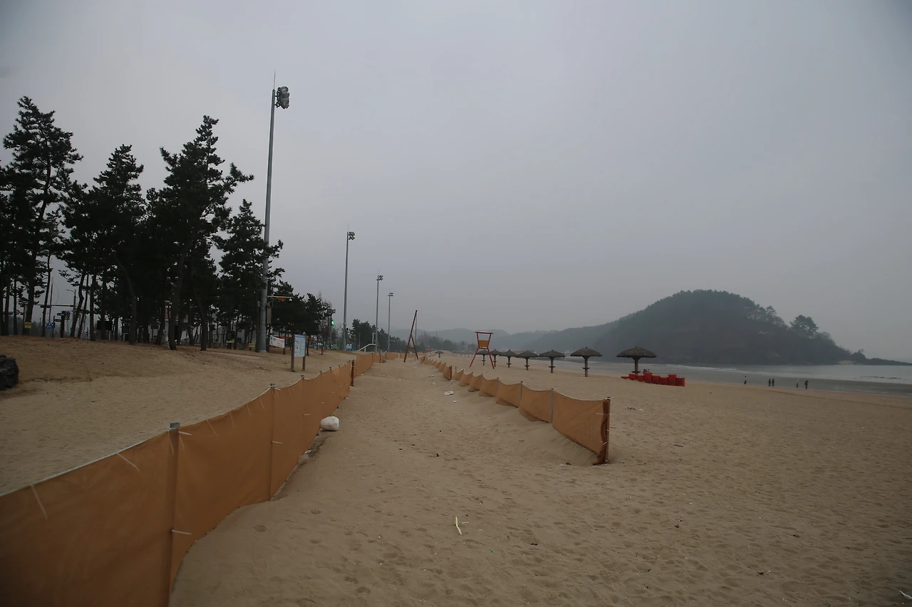 MG0A7233_новый размер.JPG