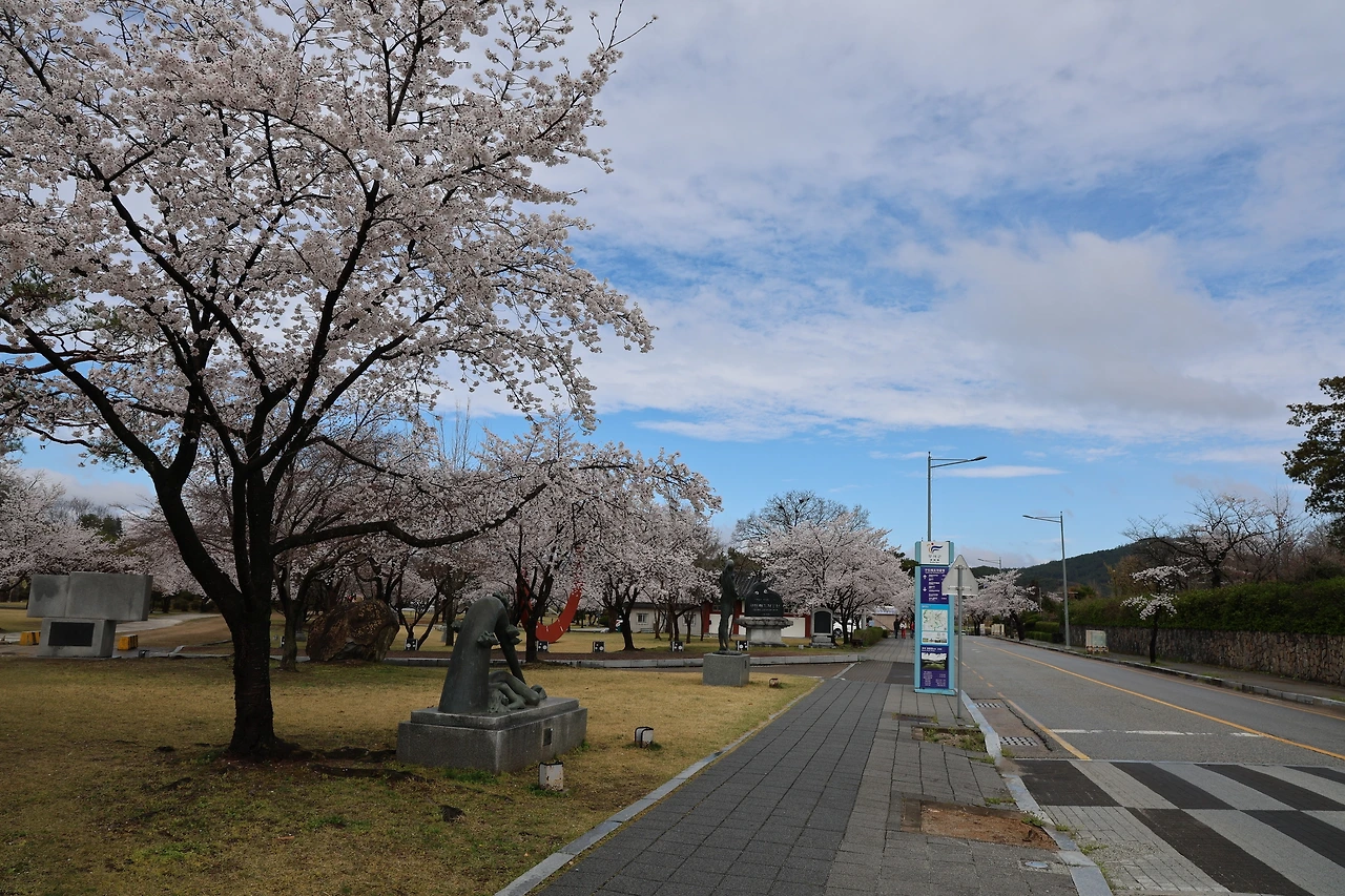 0R5A7316_новый размер.JPG