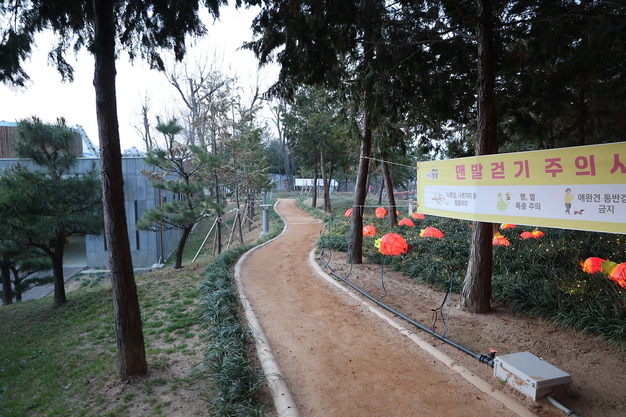 0R5A6478_новый размер.JPG