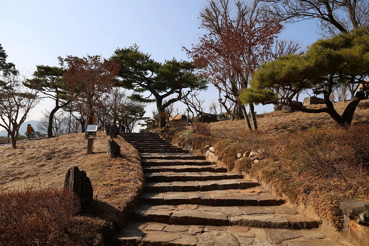 0R5A5587_новый размер.JPG