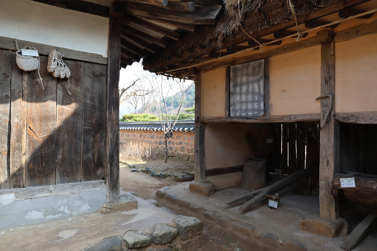 0R5A5590_новый размер.JPG