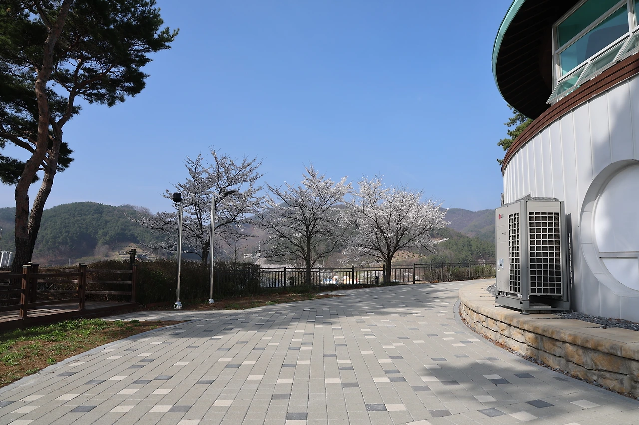 0R5A7939_новый размер.JPG