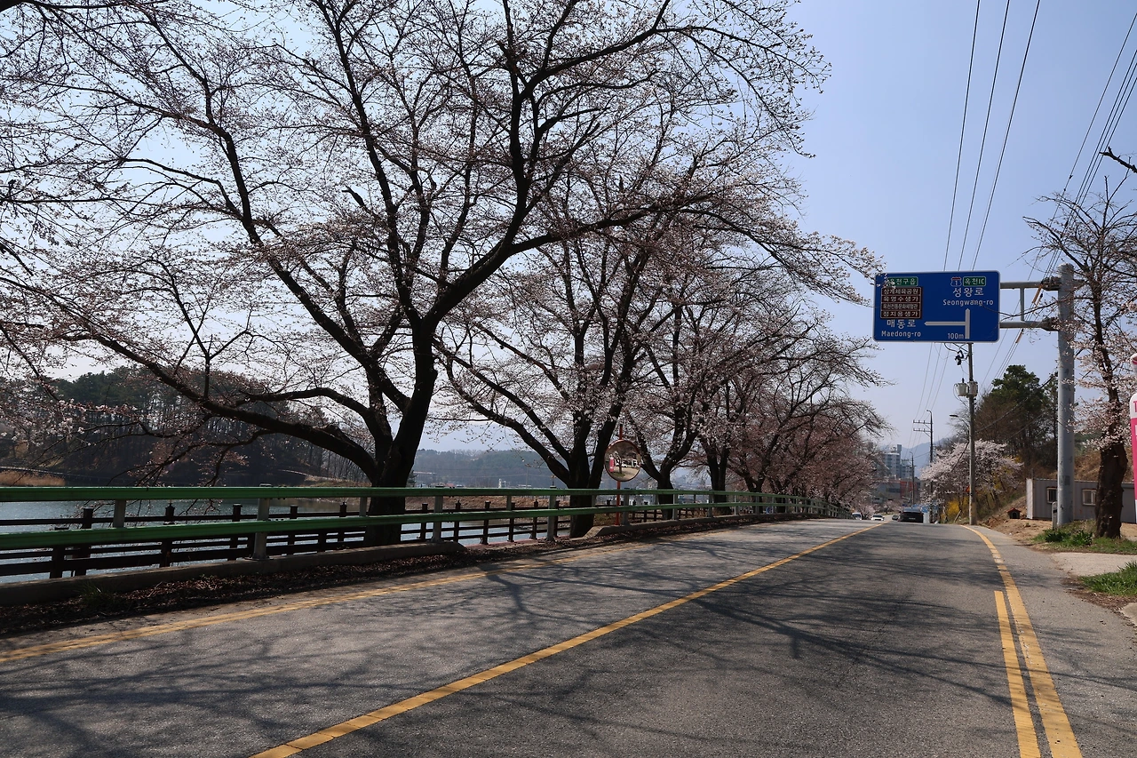 0R5A7156_новый размер.JPG