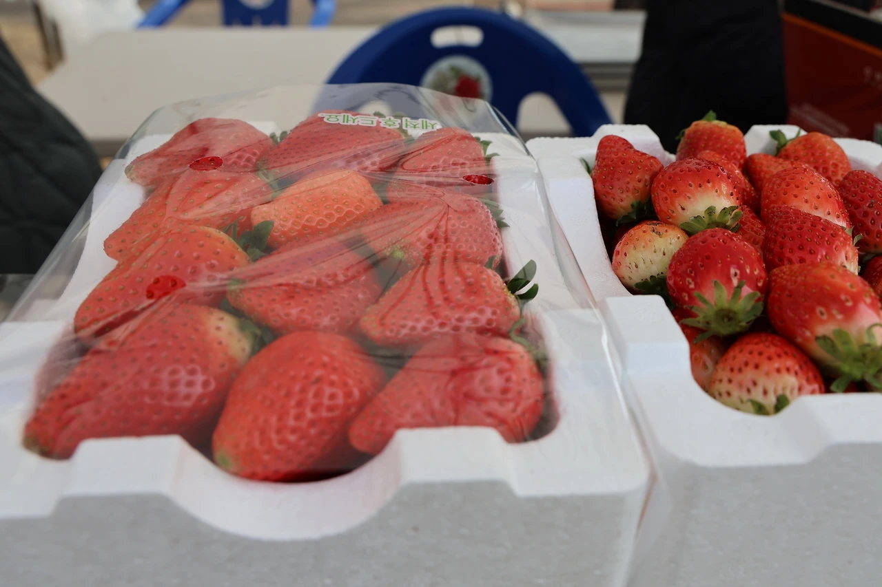 0R5A3341_новый размер.JPG