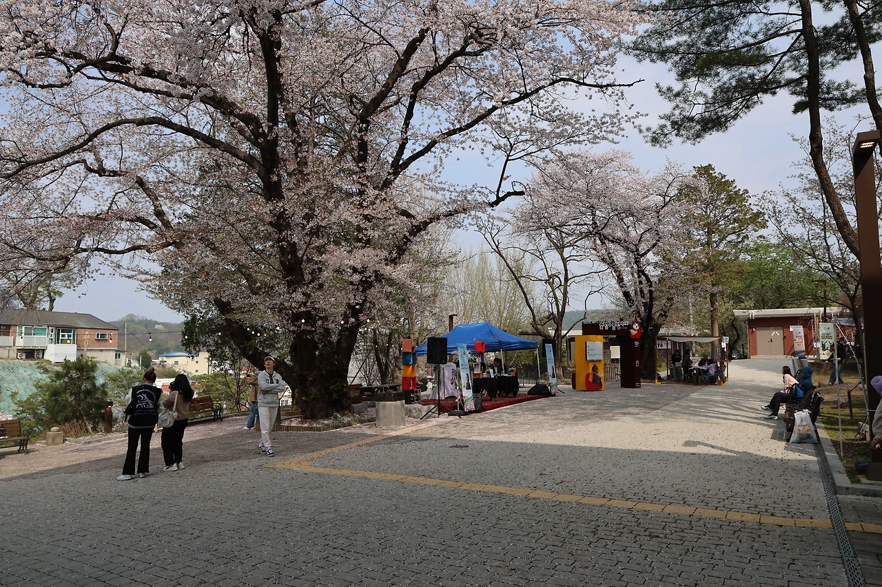 0R5A7866_новый размер.JPG