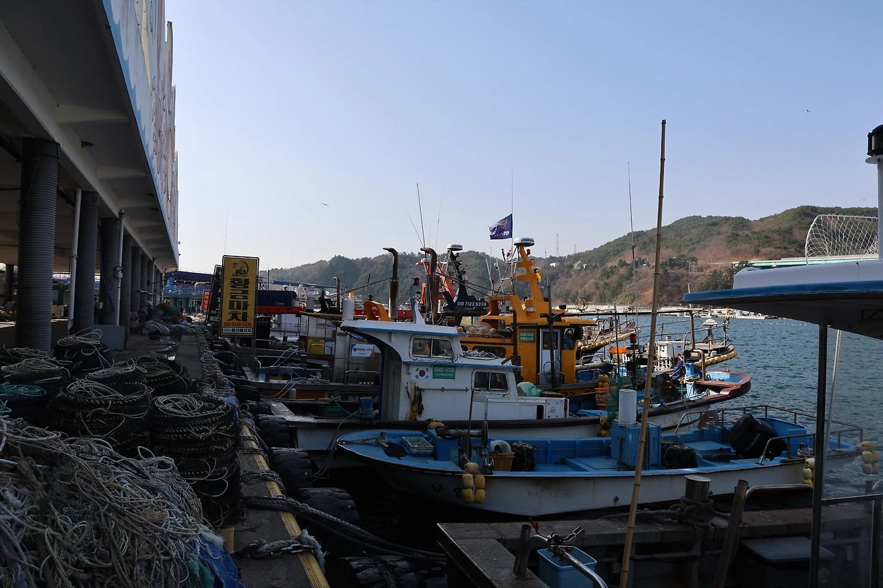 0R5A2182_новый размер.JPG