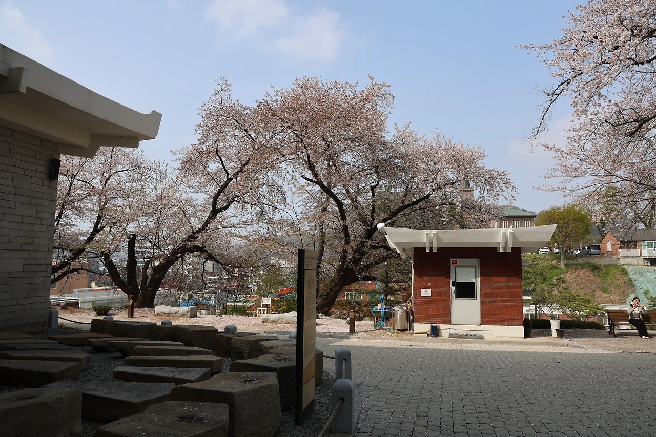 0R5A7865_новый размер.JPG