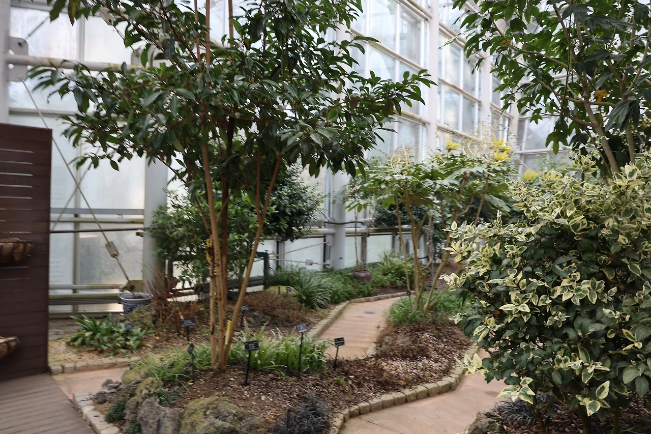 0R5A5291_новый размер.JPG