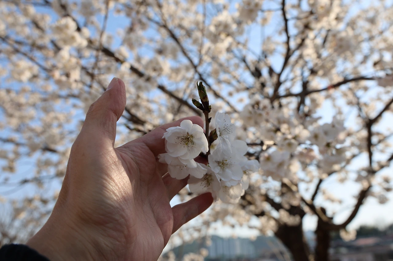 0R5A6539_новый размер.JPG