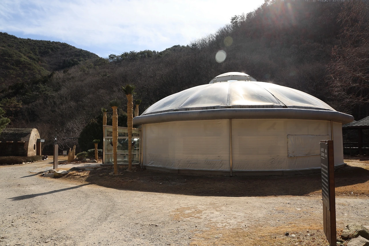 0R5A0281_новый размер.JPG