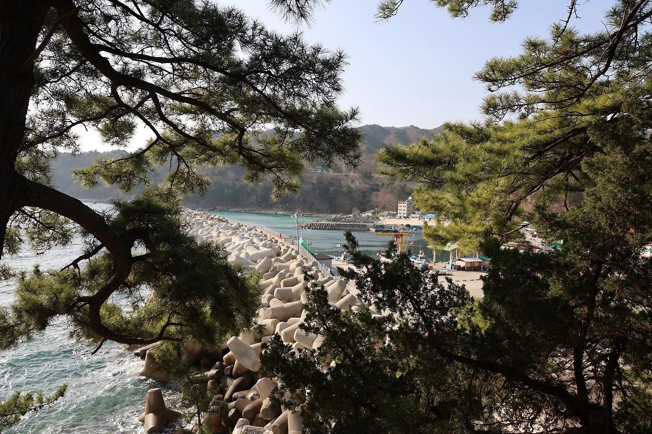 0R5A2059_новый размер.JPG