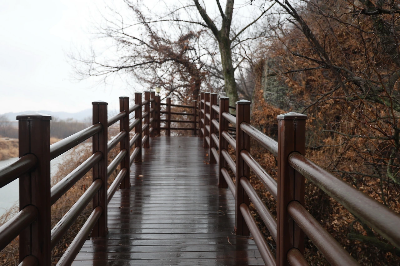 0R5A3097_новый размер.JPG