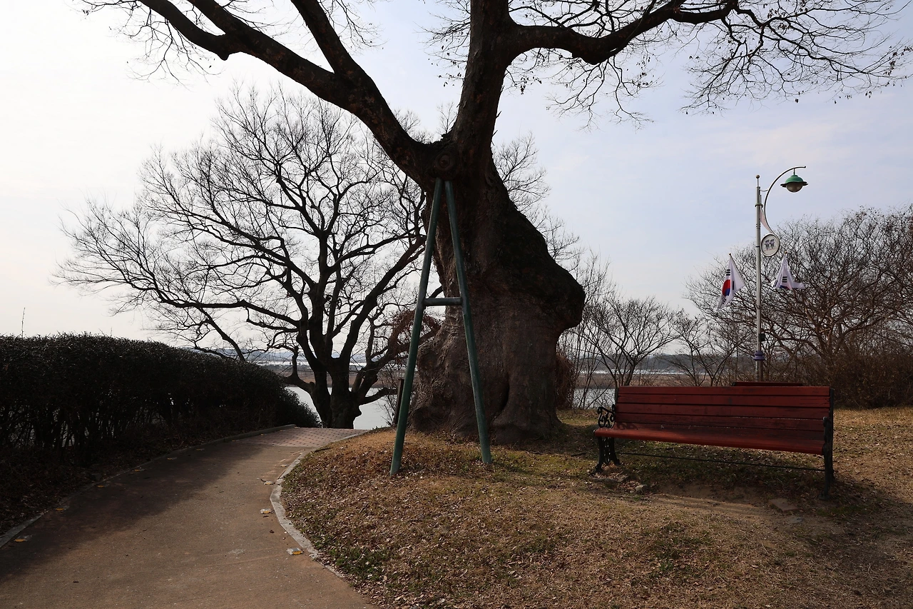 0R5A3295_новый размер.JPG