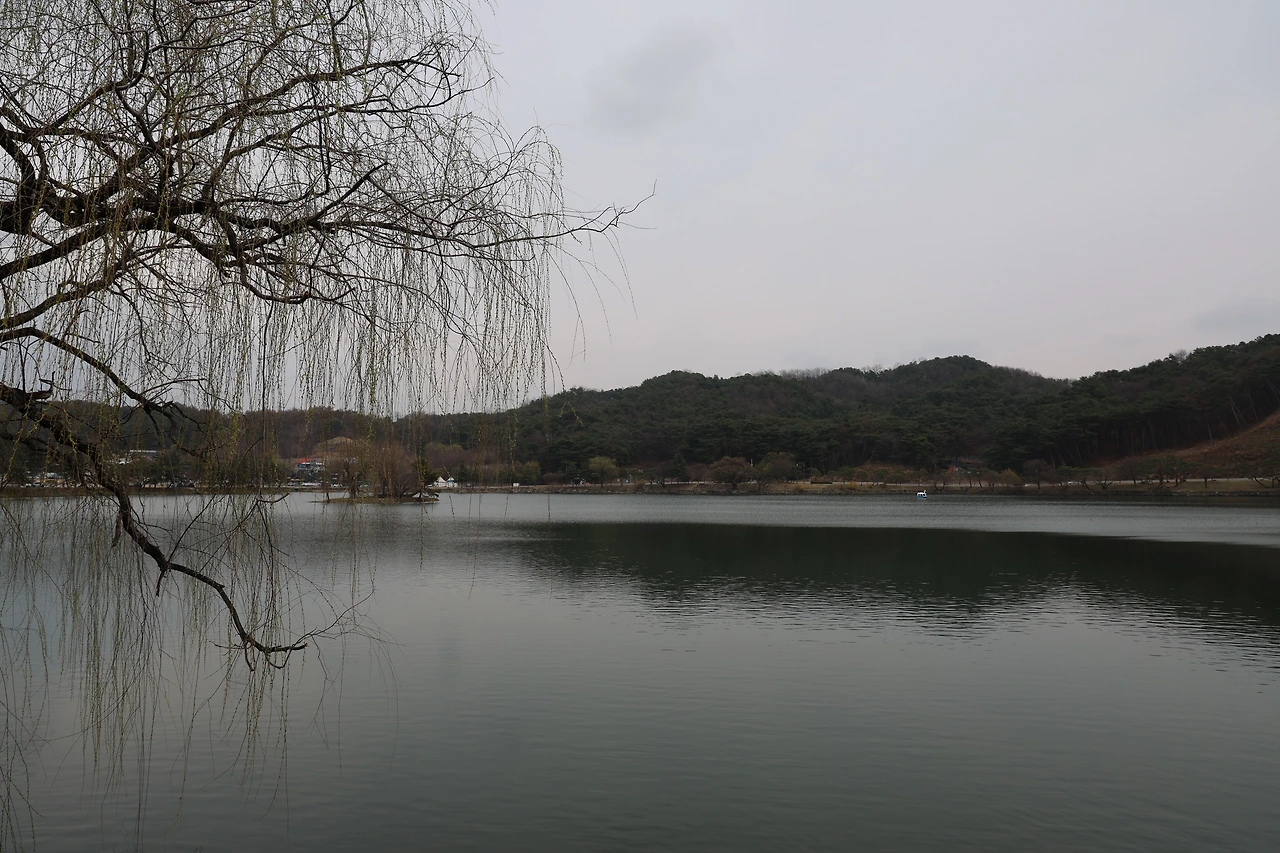 0R5A6907_новый размер.JPG