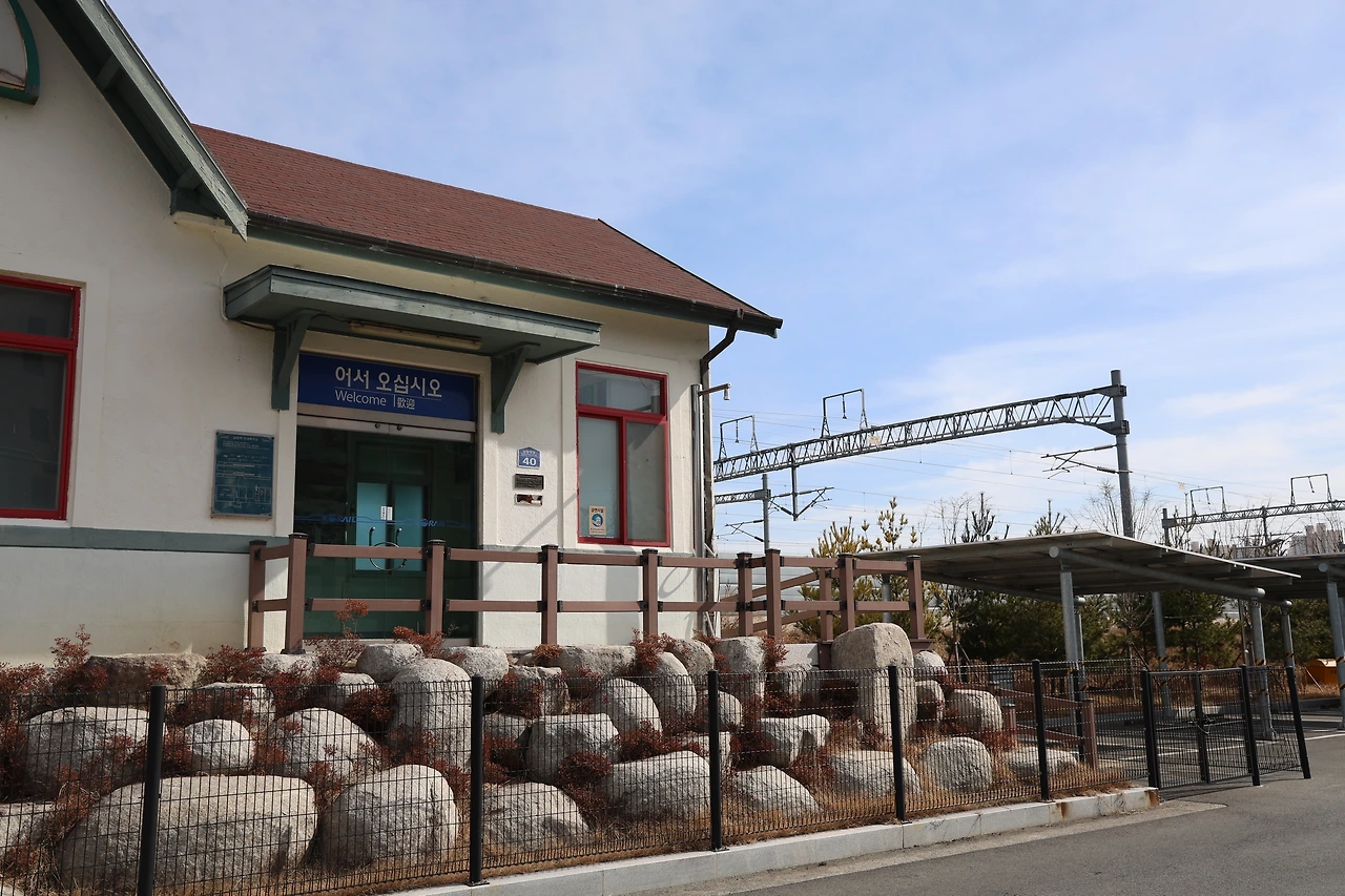 0R5A0247_новый размер.JPG