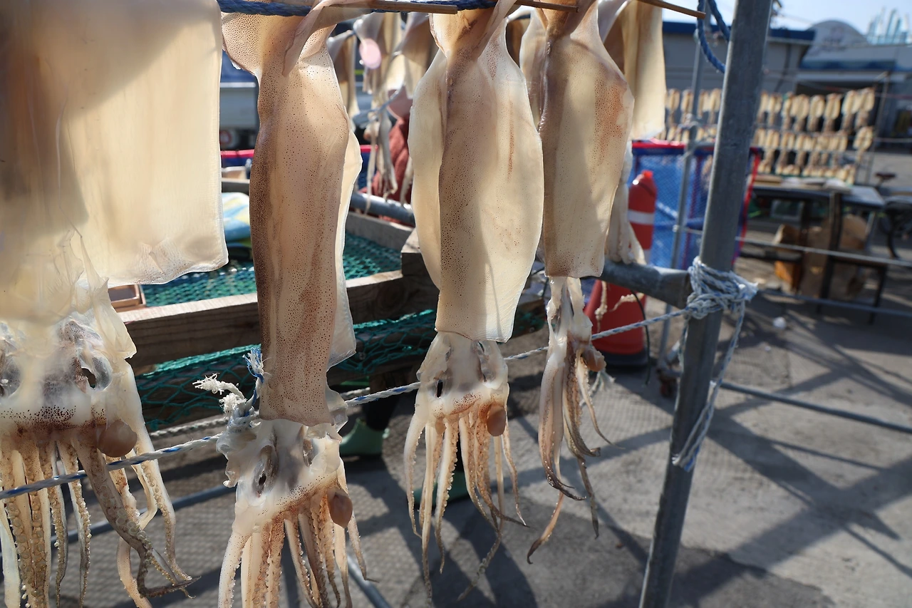 0R5A2168_новый размер.JPG